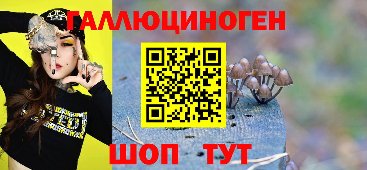 Галлюциногенные грибы Magic Shrooms  где купить наркоту  Галлюциногенные грибы Magic Shrooms  Волоколамск  Вход с VPN 